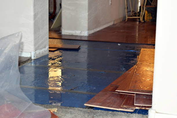 Professional Water Damage Restoration technician working in Anahuac, TX